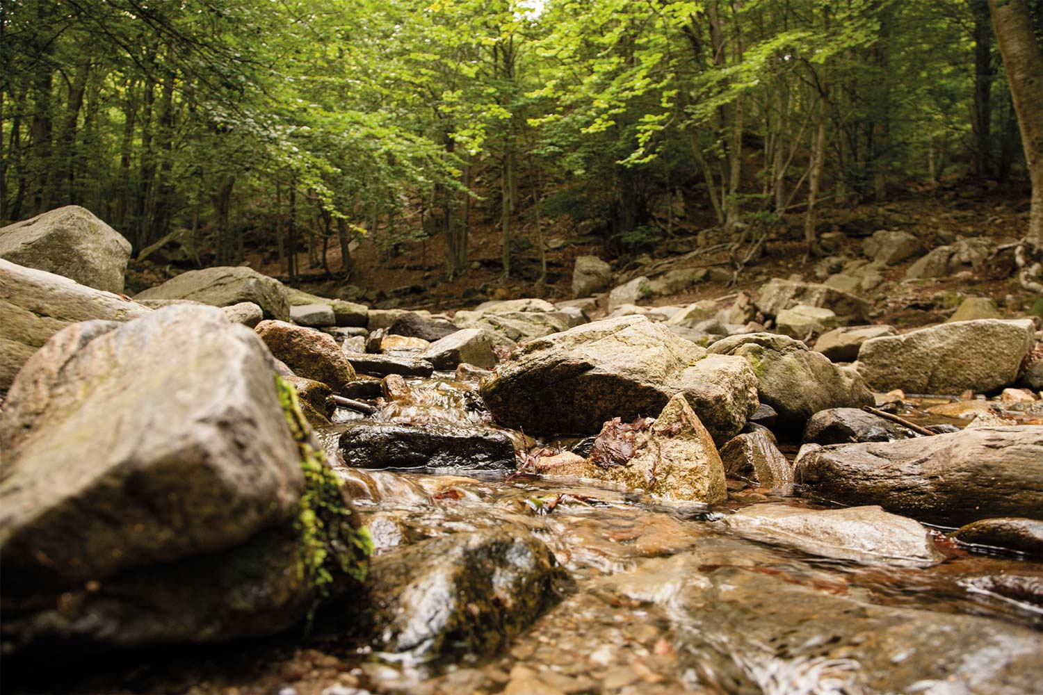 Montseny Natural Park